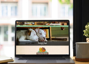 BADRAP Website on a laptop screen